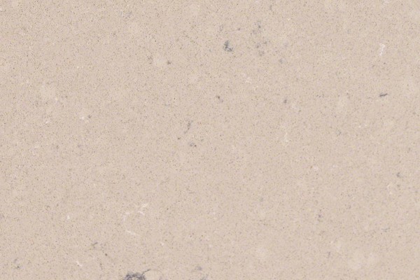 Fossil Taupe